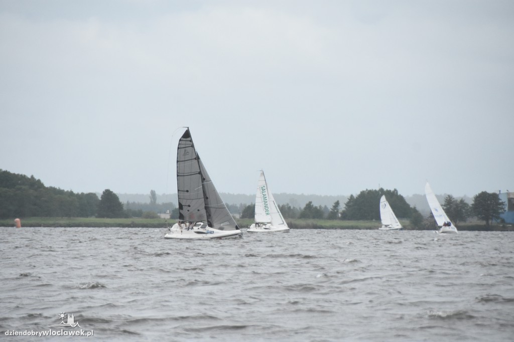 Regaty Salamander Cup 2017