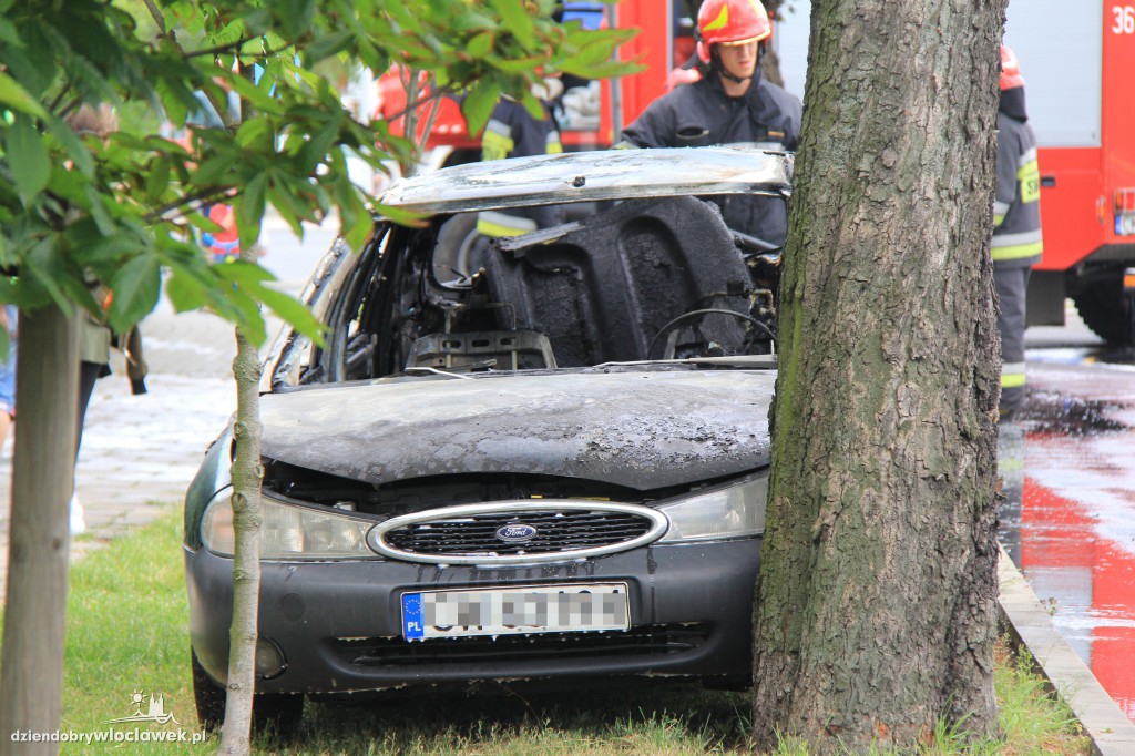 Pożar samochodu przy ul. Planty