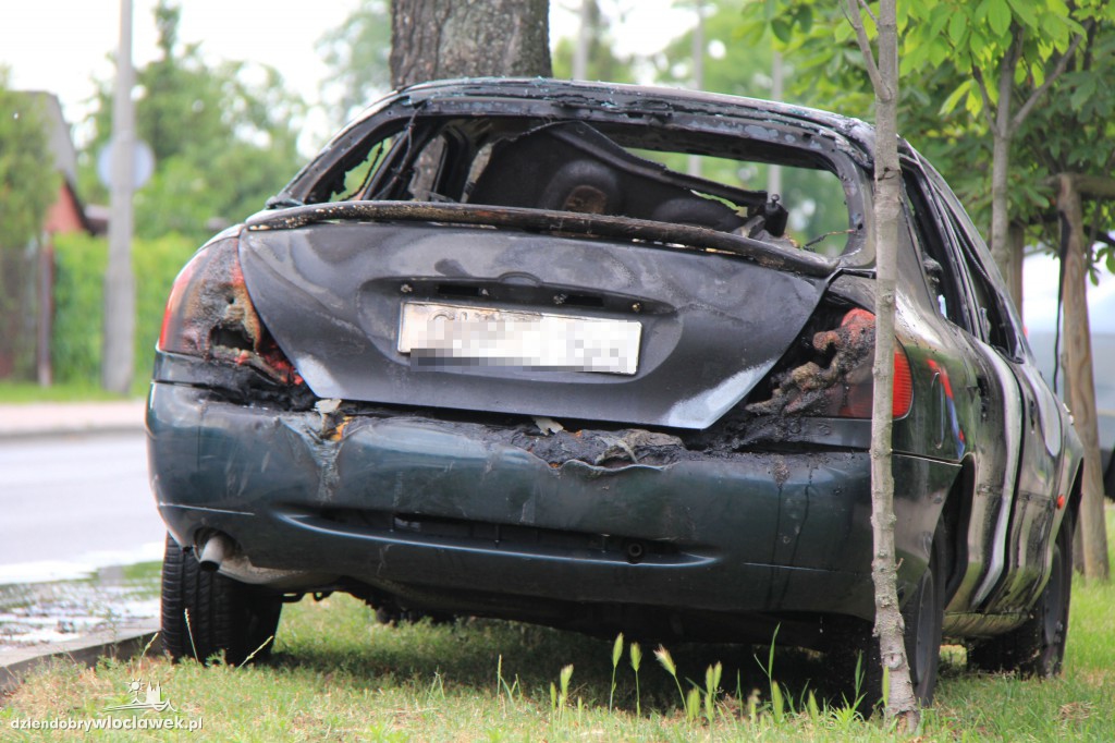 Pożar samochodu przy ul. Planty