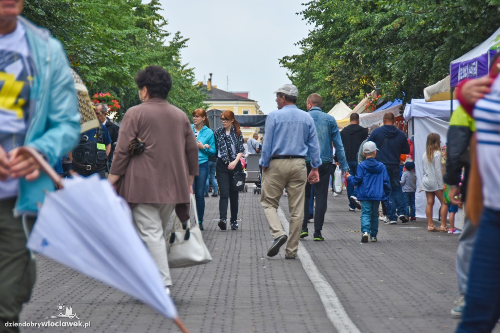 Włocławski Jarmark na ulicy 3 Maja