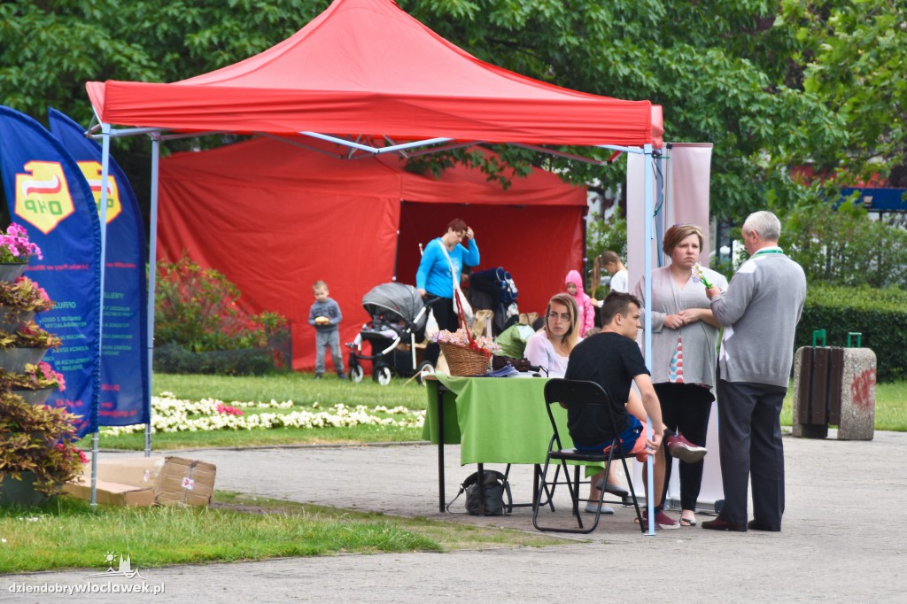 Włocławski Jarmark na ulicy 3 Maja