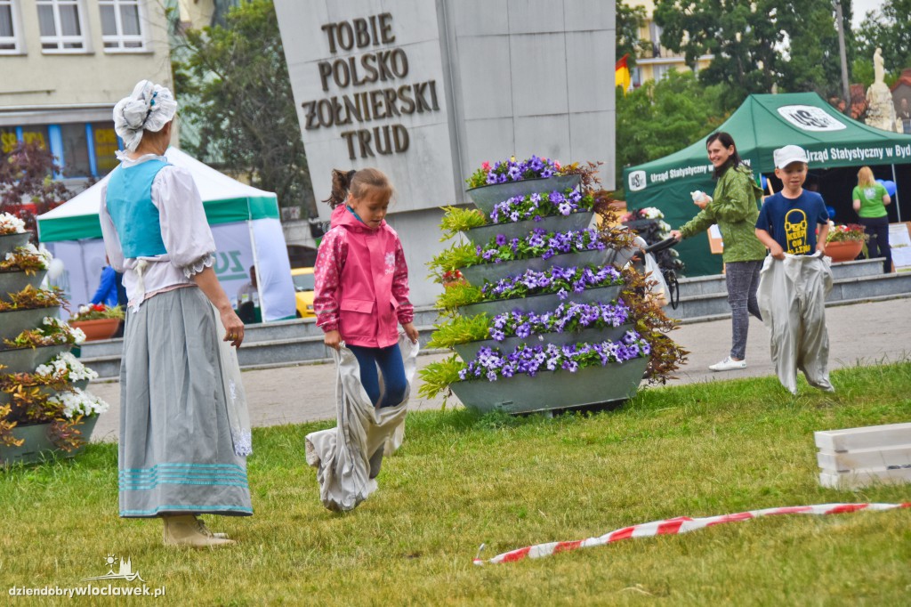 Włocławski Jarmark na ulicy 3 Maja