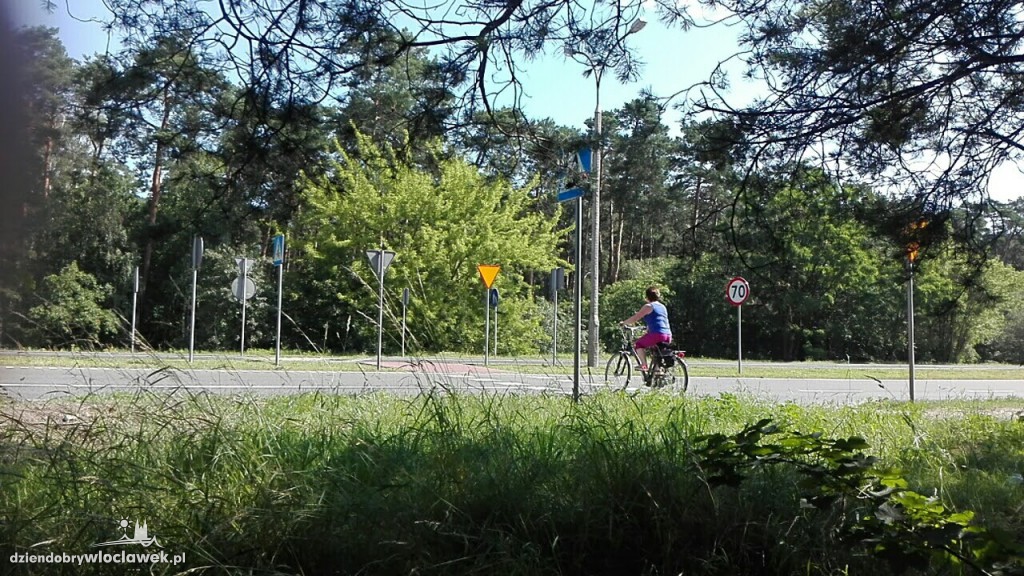 Uważajmy na alei Kazimierza Wielkiego