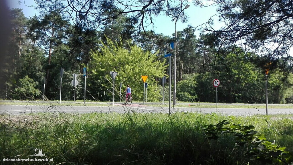 Uważajmy na alei Kazimierza Wielkiego
