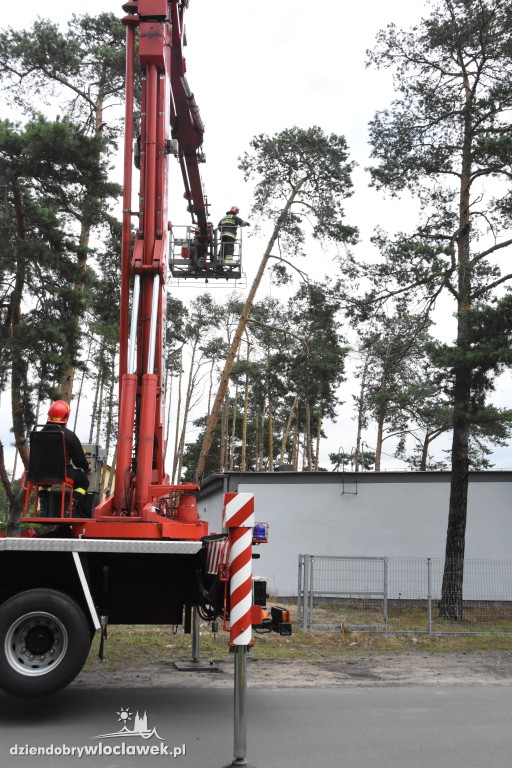 Drzewo prawie przewróciło się  na sklep