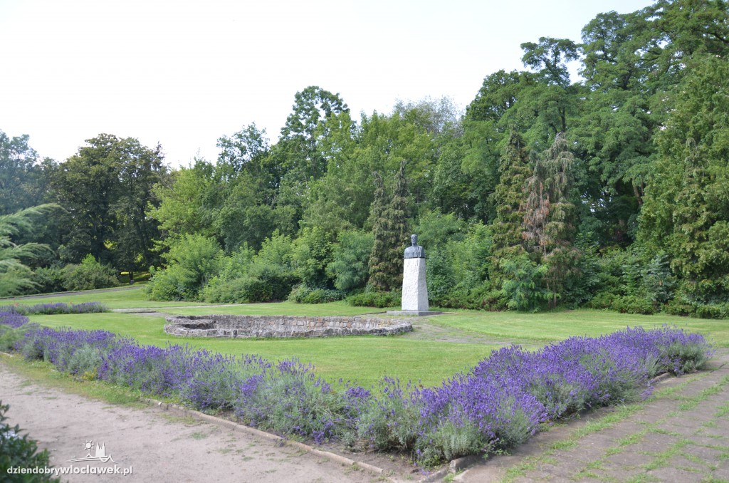 Park Sienkiewicza do zmiany