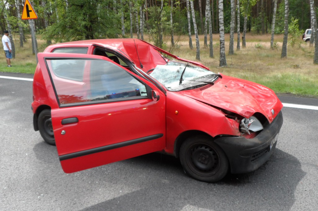 Fiat seicento uderzył w łosia na drodze