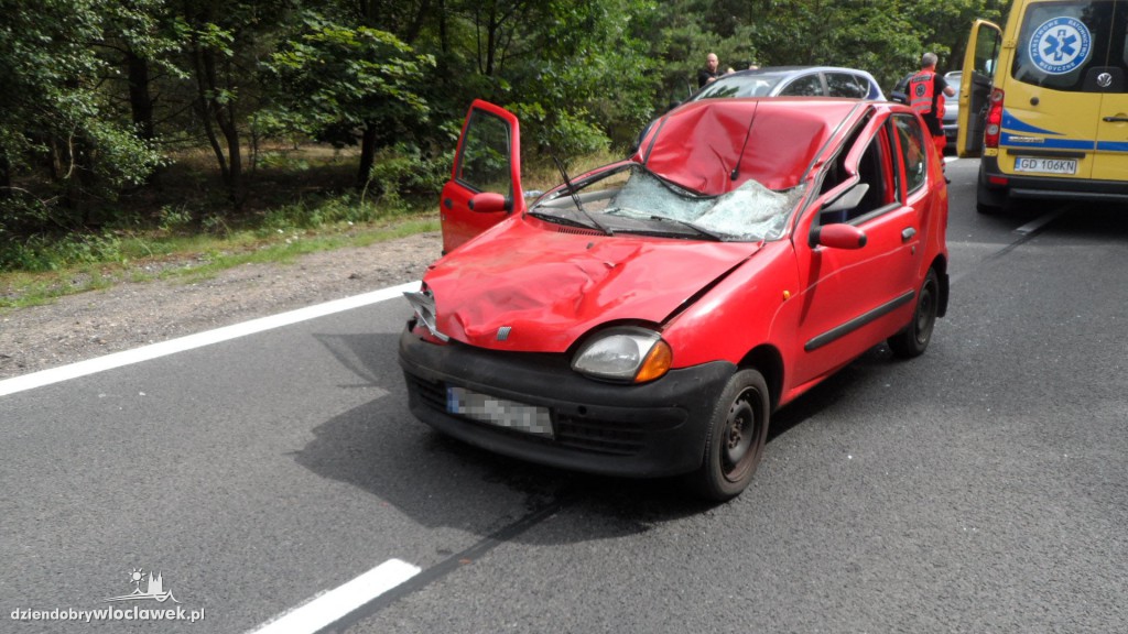 Fiat seicento uderzył w łosia na drodze