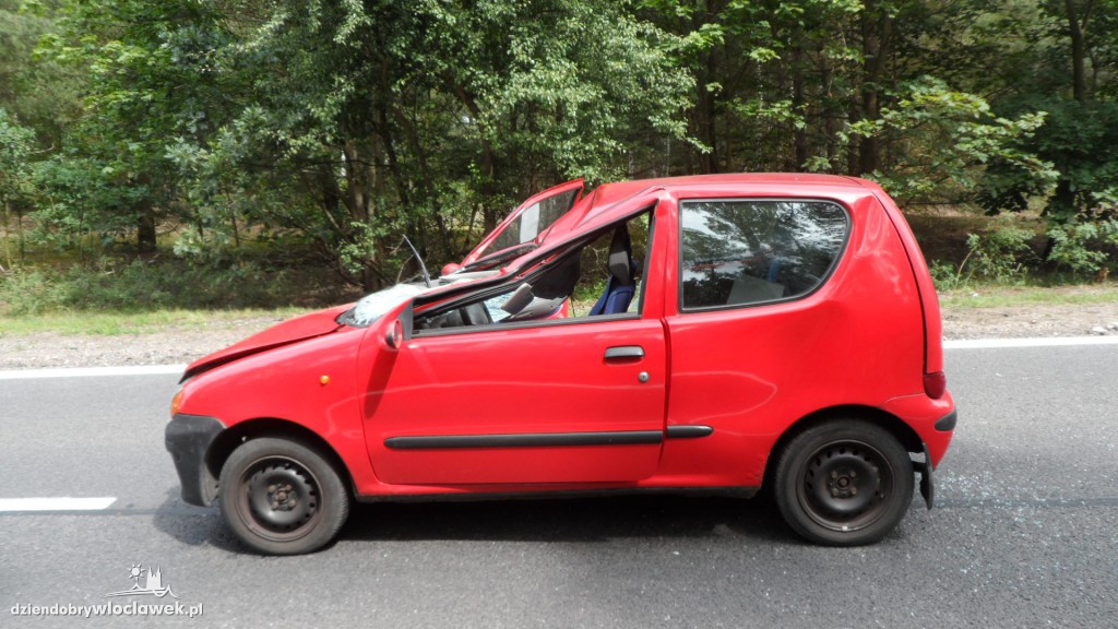 Fiat seicento uderzył w łosia na drodze