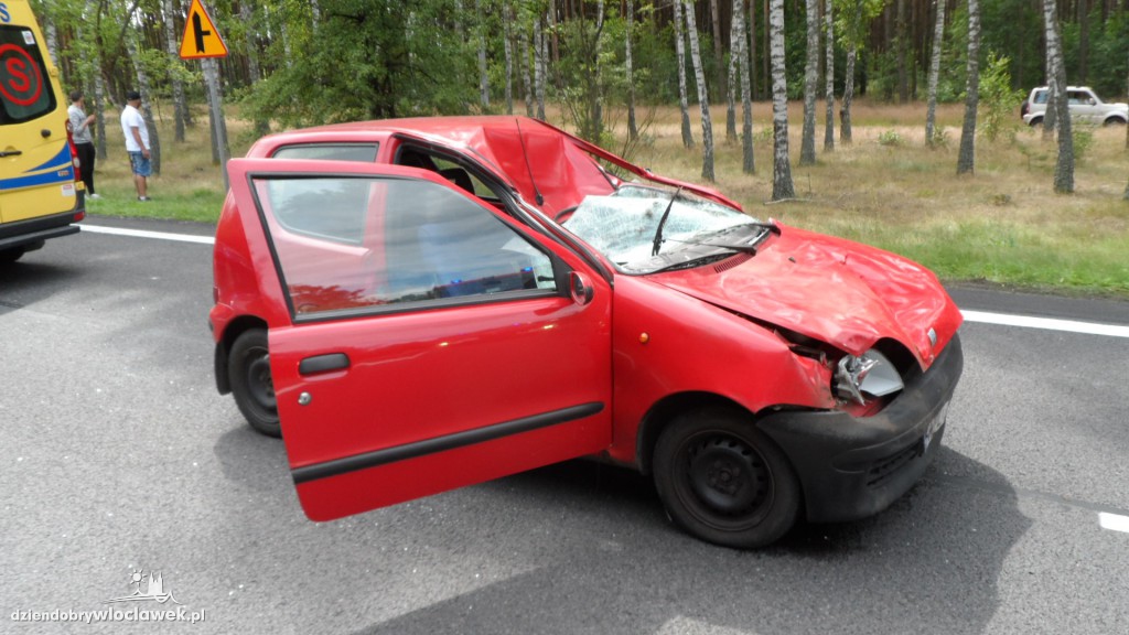 Fiat seicento uderzył w łosia na drodze