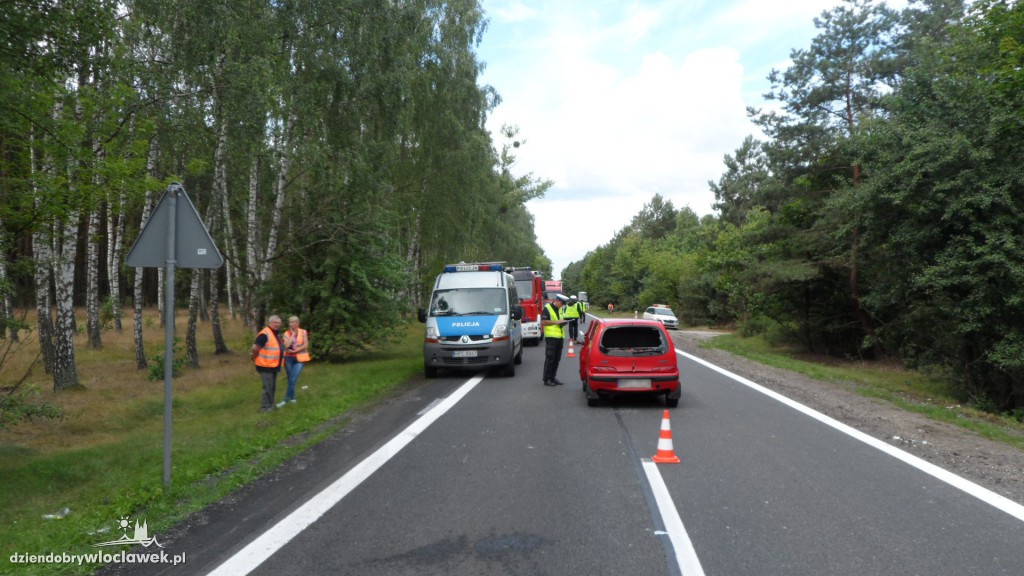 Fiat seicento uderzył w łosia na drodze