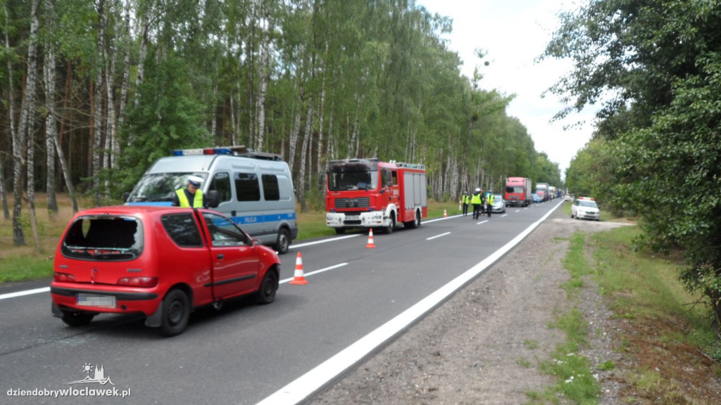 Fiat seicento uderzył w łosia na drodze