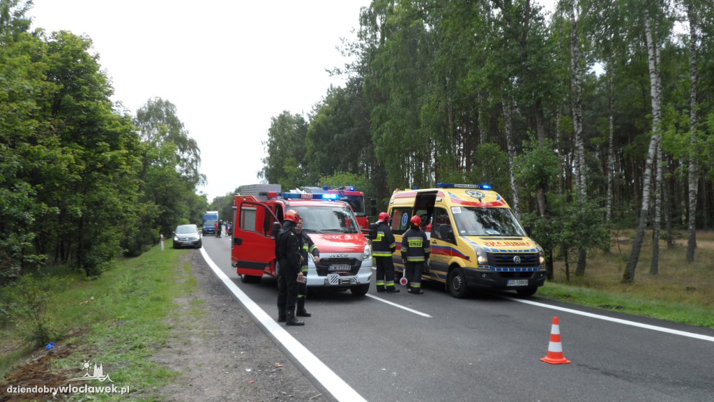 Fiat seicento uderzył w łosia na drodze