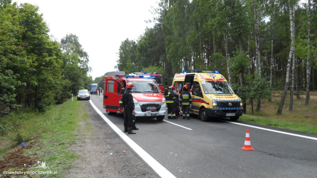 Fiat seicento uderzył w łosia na drodze