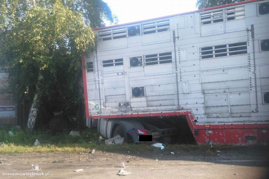 Ciężarówka uderzyła w busa. 7 rannych