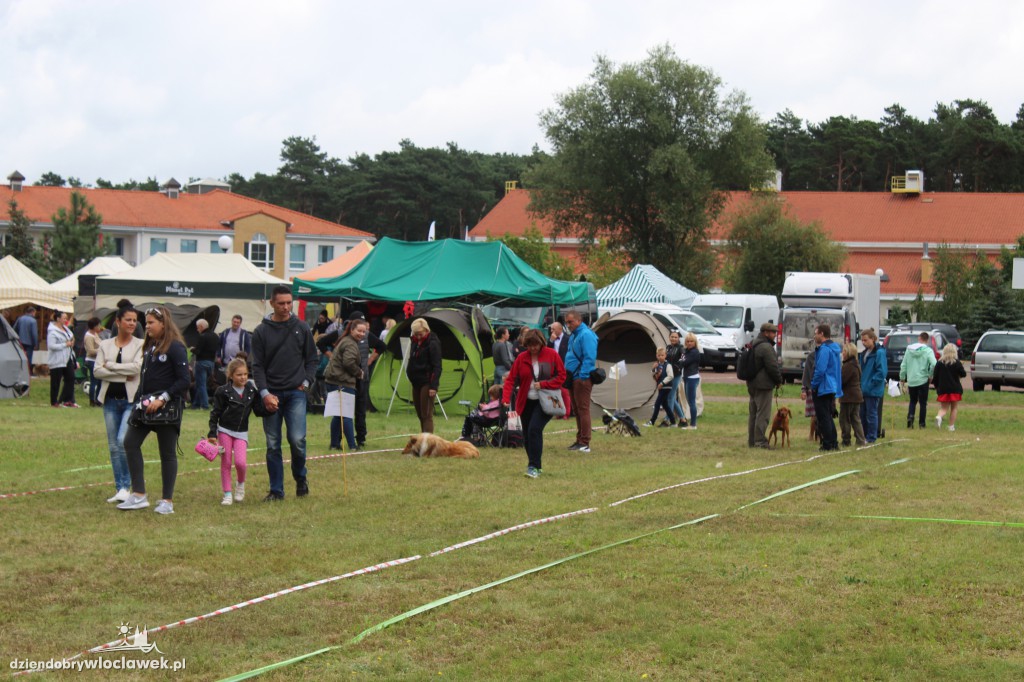 XXIX Kujawska Wystawa Psów Rasowych