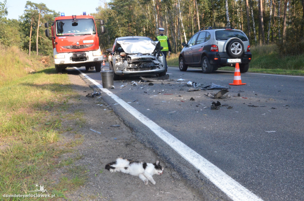 Zderzenie na drodze do autostrady