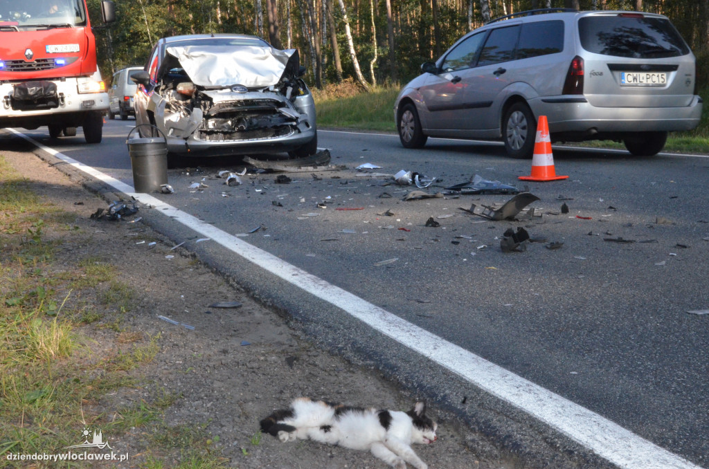 Zderzenie na drodze do autostrady