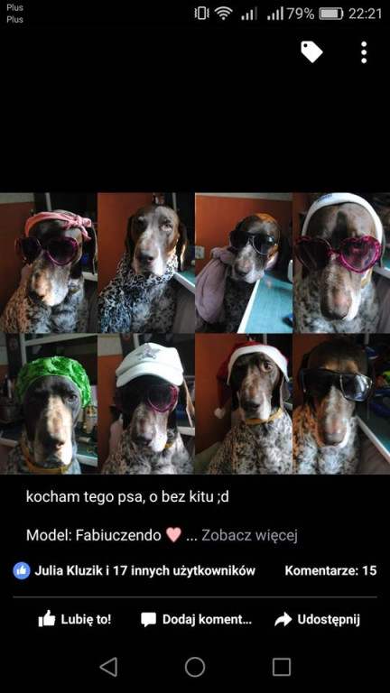 Dzień Zwierząt: czworonogi włocławian