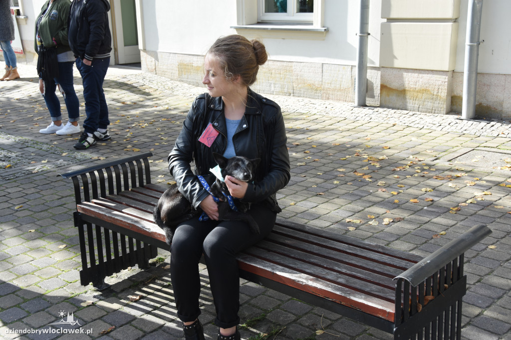 Obchody Światowego Dnia Zwierząt