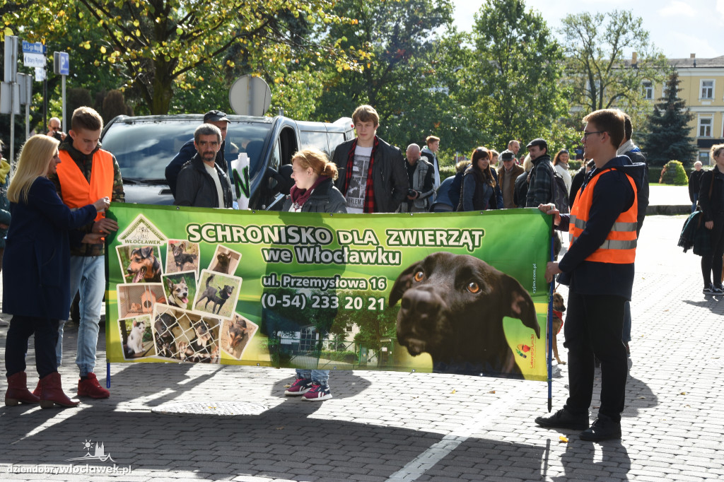Obchody Światowego Dnia Zwierząt