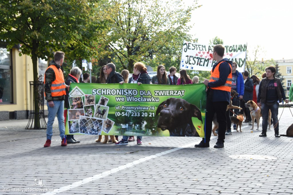 Obchody Światowego Dnia Zwierząt