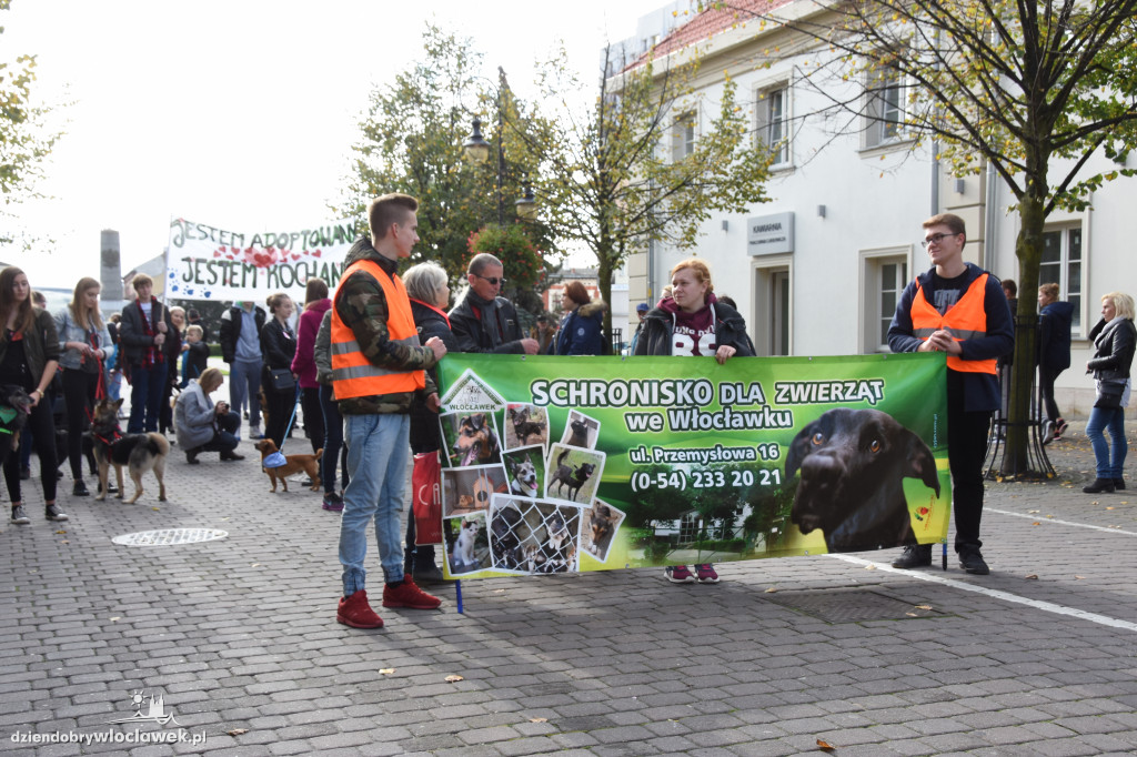 Obchody Światowego Dnia Zwierząt
