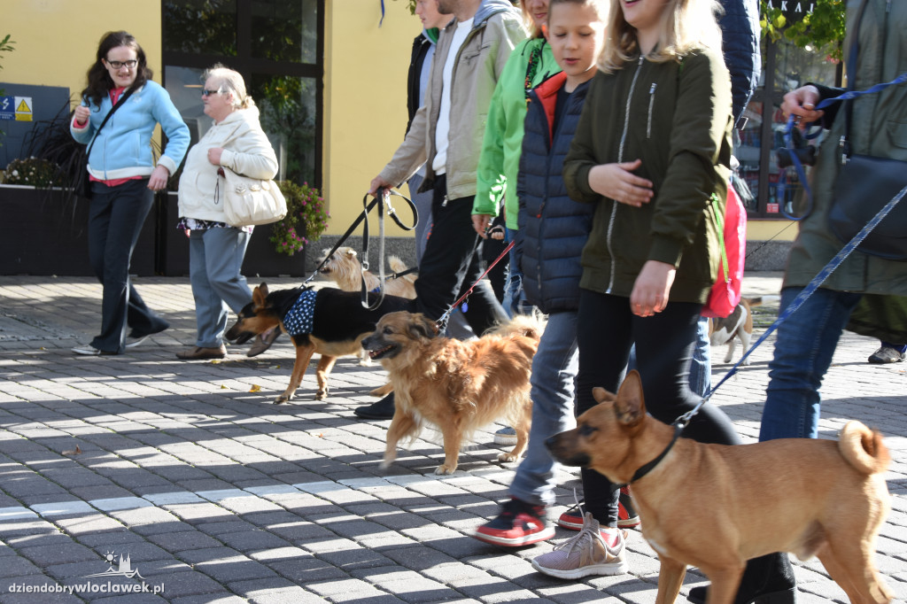 Obchody Światowego Dnia Zwierząt