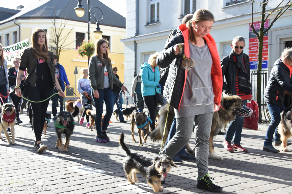 Obchody Światowego Dnia Zwierząt