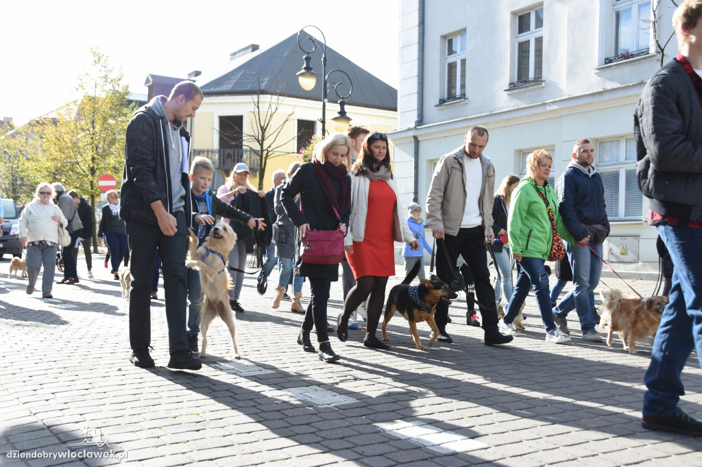 Obchody Światowego Dnia Zwierząt