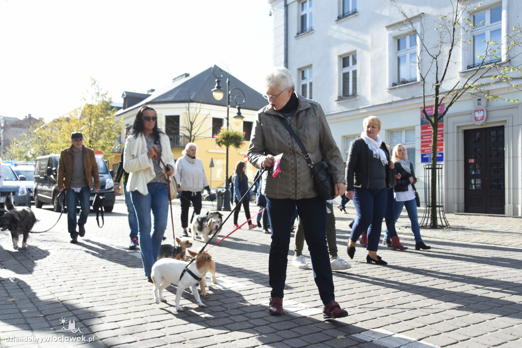 Obchody Światowego Dnia Zwierząt