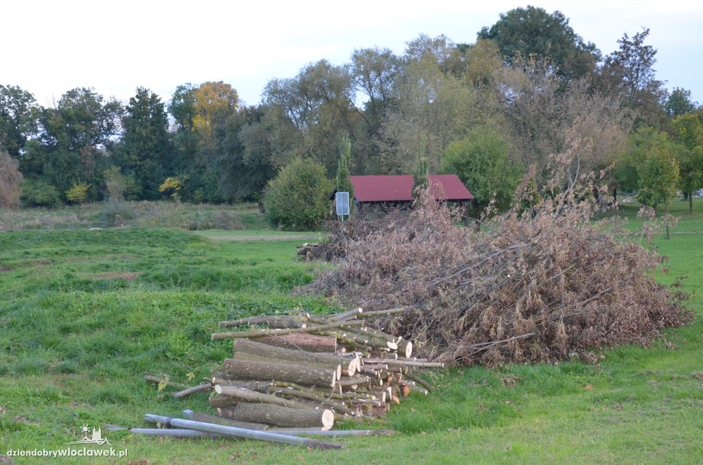 Wycinka w parku nad Zgłowiączką
