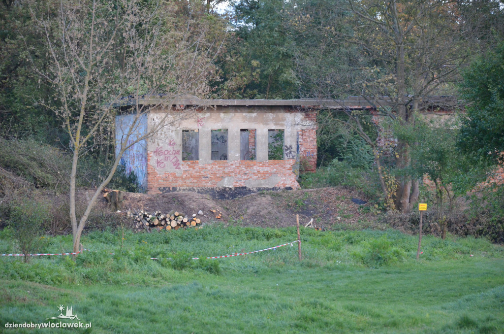 Wycinka w parku nad Zgłowiączką