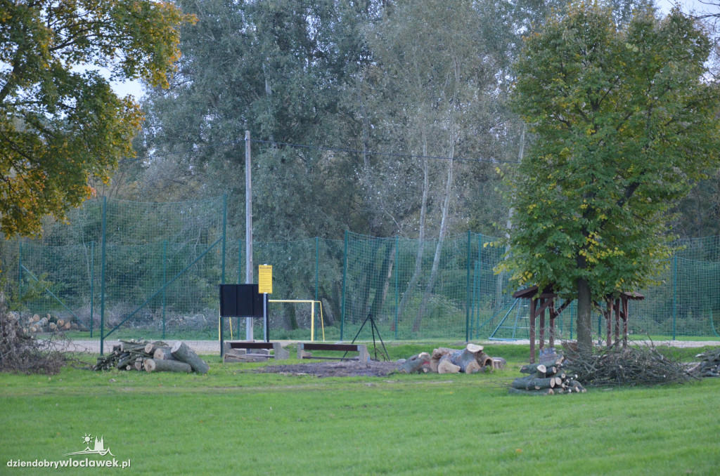Wycinka w parku nad Zgłowiączką