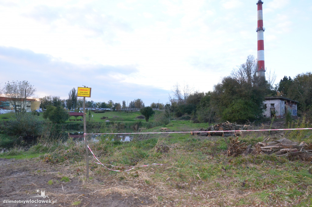 Wycinka w parku nad Zgłowiączką