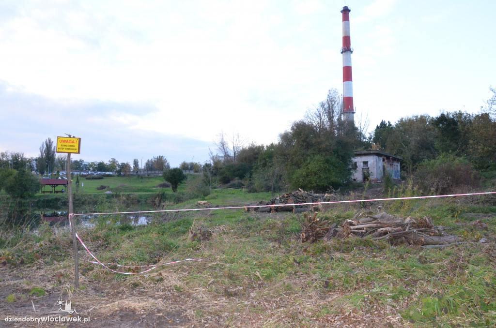 Wycinka w parku nad Zgłowiączką