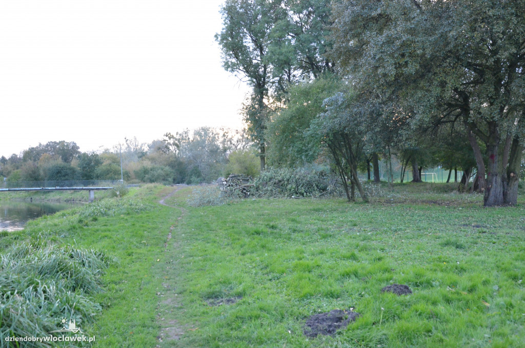 Wycinka w parku nad Zgłowiączką