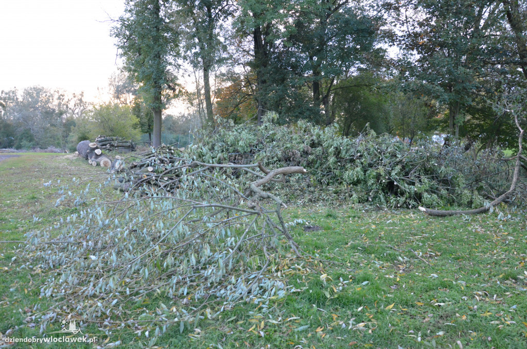 Wycinka w parku nad Zgłowiączką