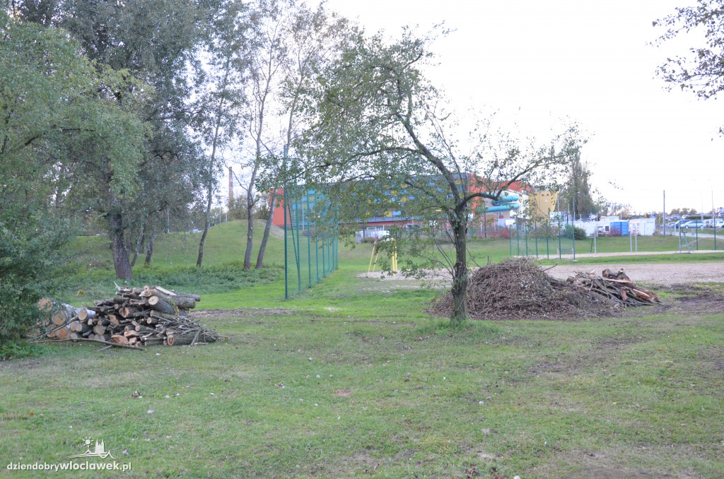 Wycinka w parku nad Zgłowiączką