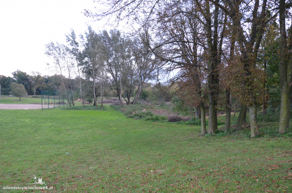 Wycinka w parku nad Zgłowiączką