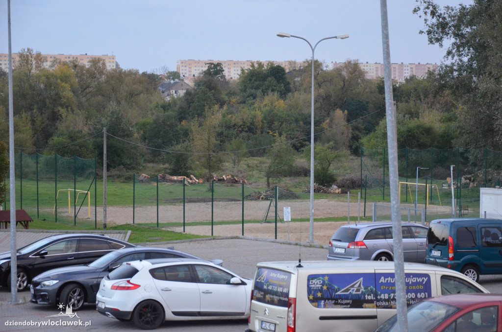 Wycinka w parku nad Zgłowiączką