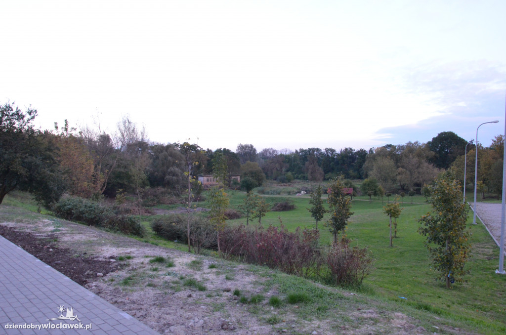 Wycinka w parku nad Zgłowiączką
