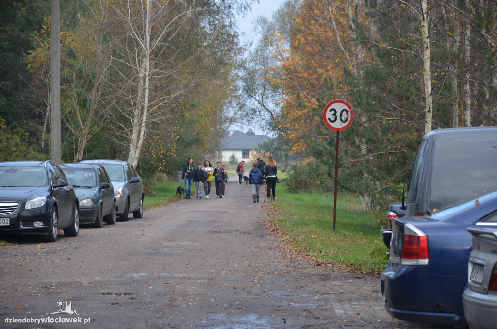 Dzień kundelka w schronisku dla zwierząt