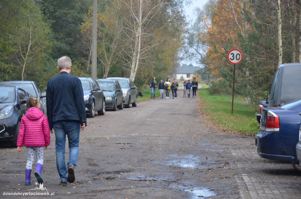 Dzień kundelka w schronisku dla zwierząt