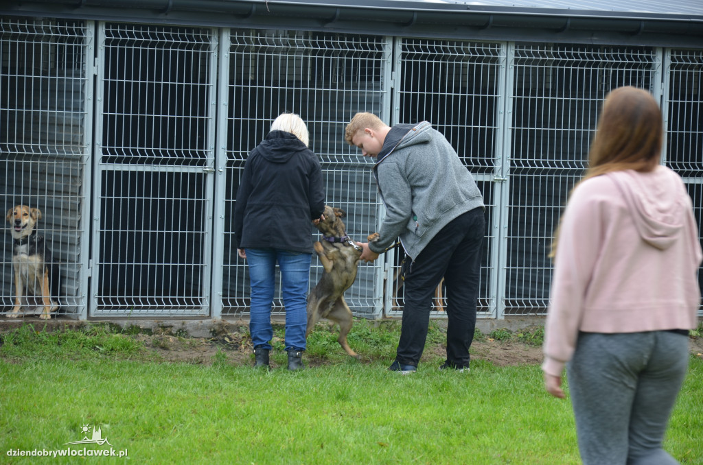 Dzień kundelka w schronisku dla zwierząt