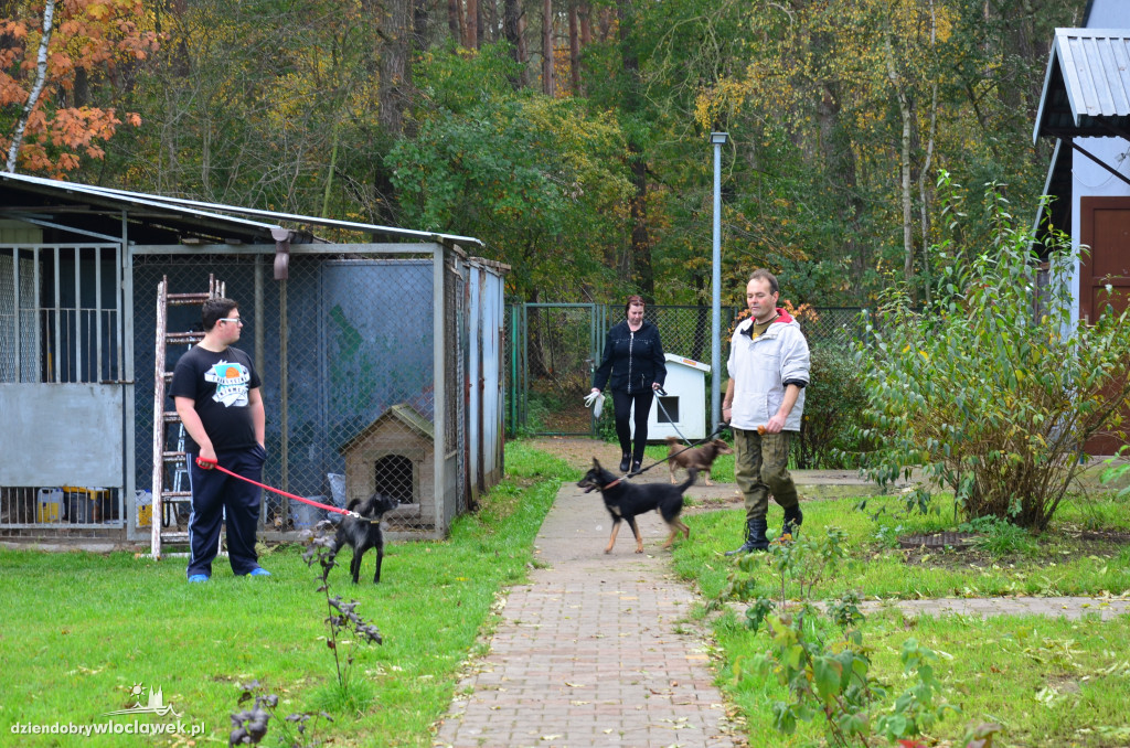 Dzień kundelka w schronisku dla zwierząt