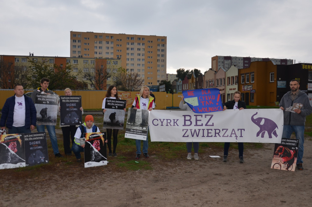 Protest przed pokazem cyrkowym