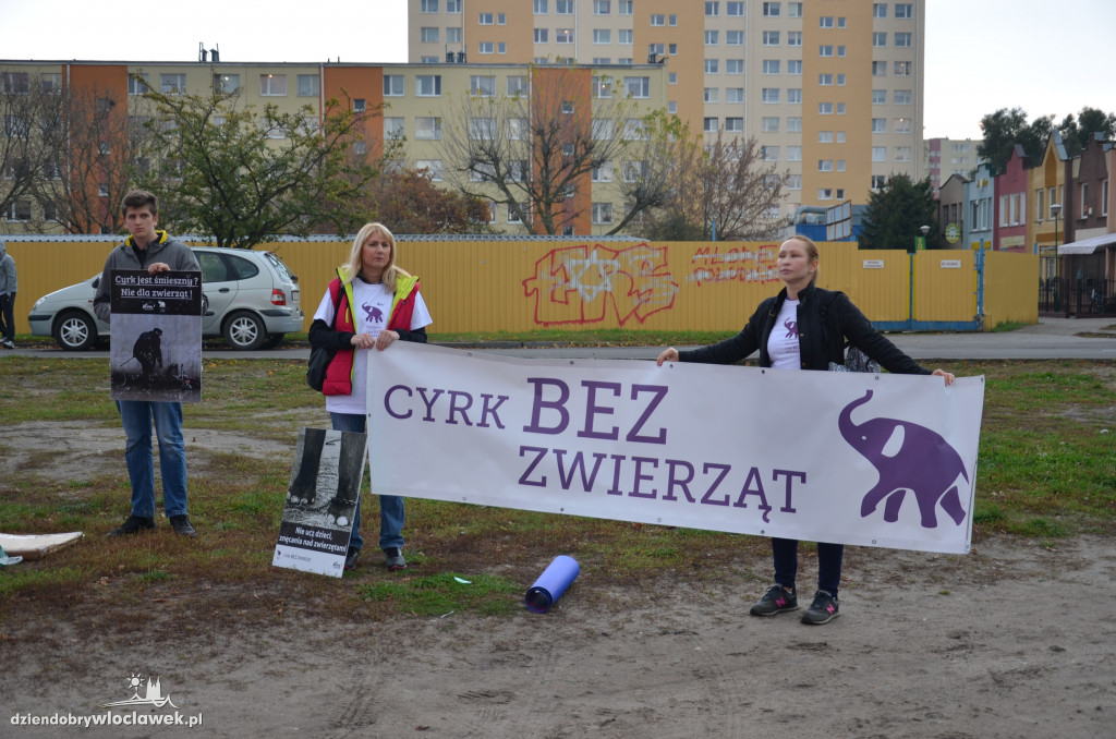 Protest przed pokazem cyrkowym