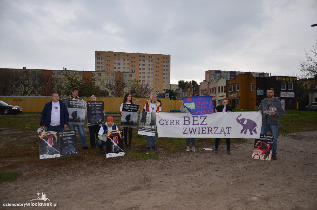 Protest przed pokazem cyrkowym