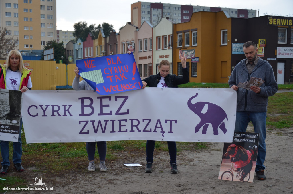 Protest przed pokazem cyrkowym